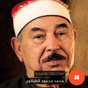 محمد محمود الطبلاوي – Mohamed Mahmood Tablawi